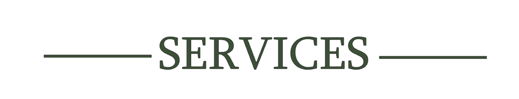 Web design and video editing services 